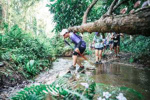 BIB: 
                            <button type="button" onclick="openModal(25478314)" class="btn btn-primary btn-sm float-right btn-popup" data-toggle="modal" data-target=".modal-high-quality">
                        <i class="fas fa-shopping-cart"></i> Add to Cart
                    </button>
                                            <button type="button" onclick="isThisMe(25478314, true)" class="btn btn-success btn-sm float-right btn-popup btn-isme hidden" data-toggle="tooltip" data-placement="bottom" title="นี่คือรูปของคุณใช่ไหม คลิกที่นี่เพื่อเอาเข้าอัลบั้ม">
                        <i class="fas fa-plus"></i> Add to album
                    </button>
                    <button type="button" onclick="isThisMe(25478314, false)" class="btn btn-warning btn-sm float-right btn-popup btn-isnotme hidden">
                        <i class="fas fa-ban"></i> Remove from album
                    </button>